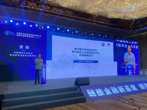 全国首个“NFT数字藏品通用标准”在南京中国区块链金融创新发展大会上发布！