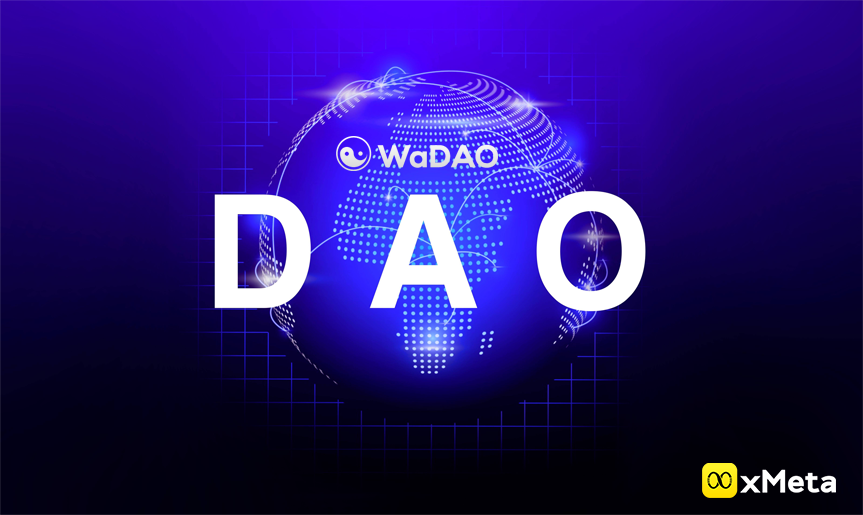 WEB3从业者必读：DAO的演变，DAO 正在颠覆投资、公司、社交俱乐部、政治、教育等领域之间的协调关系！